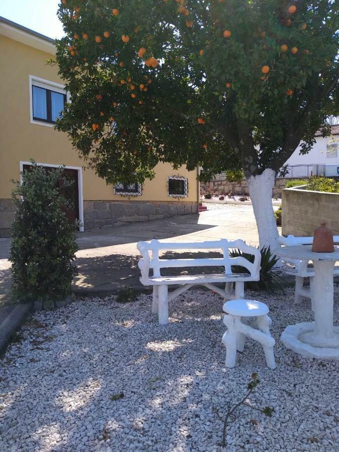 וילה נובה דה גאיה Casa Celeste Portugal מראה חיצוני תמונה